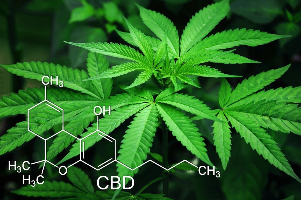 Kabrinsil i CBD w Leczeniu Psów: Synergia Naturalnych Leków, Kabrinsil - Naturalny Lek na Podniesienie Odporności dla zwierząt, CBD - Naturalny Związek Kannabinoidowy połączony z Kabrinsil, CBD i Kabrinsil a Rak u Zwierząt - Sukcesy i Badania, Kabrinsil alternatywa dla tradycyjnej terapii zwierząt